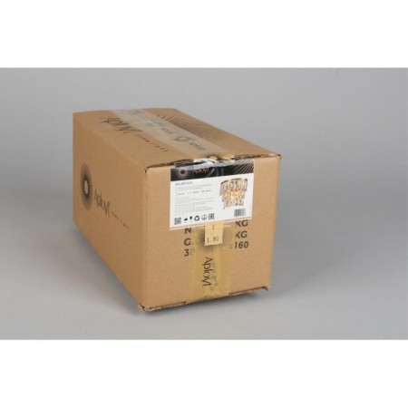 Бра APLOYT APL.837.01.01