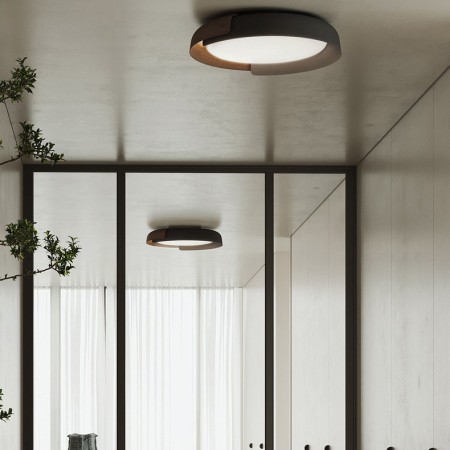 Накладной светильник ImperiumLoft 223829-23