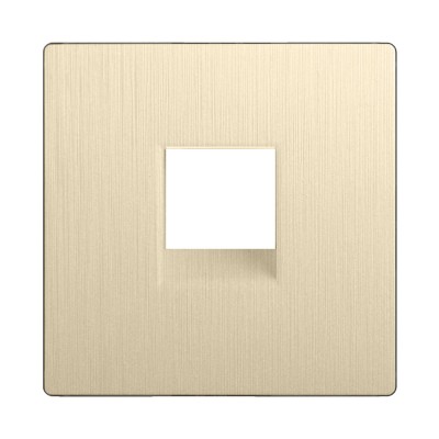 Клавиша/Накладка Werkel WL10-RJ-11-CP (шампань рифленый)