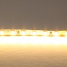 Светодиодная лента Lightstar 420503