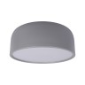 Потолочный детский светильник LOFT IT 10201/350 Grey