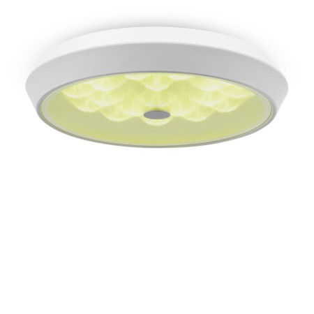 Накладной светильник Freya FR10012CL-L24W