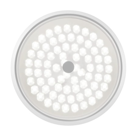 Накладной светильник Freya FR10012CL-L24W