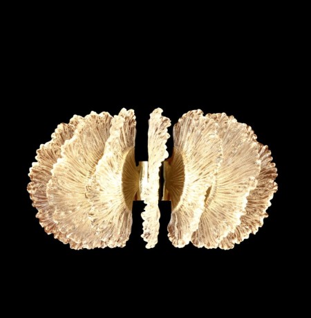 Бра Fluorite FL1094-3W