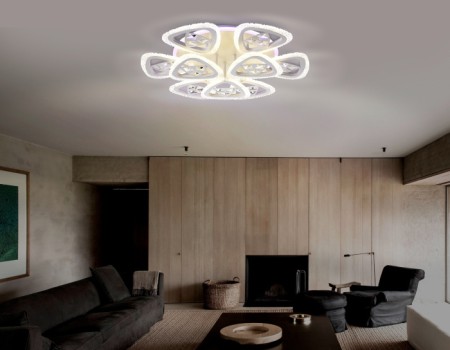 Потолочная люстра Acrylica FA2921