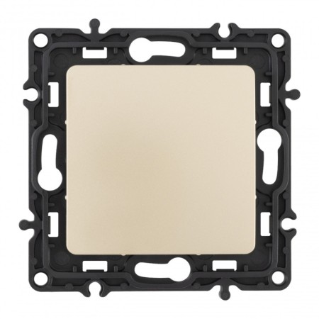 Клавиша/Накладка Arte Milano 217.50-1.shampan