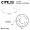 Накладной светильник Citilux CL755290