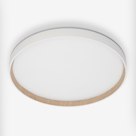 Накладной светильник Citilux CL750400R