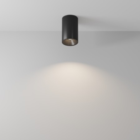 Влагозащищенный светильник Maytoni Technical C029CL-01-S-B