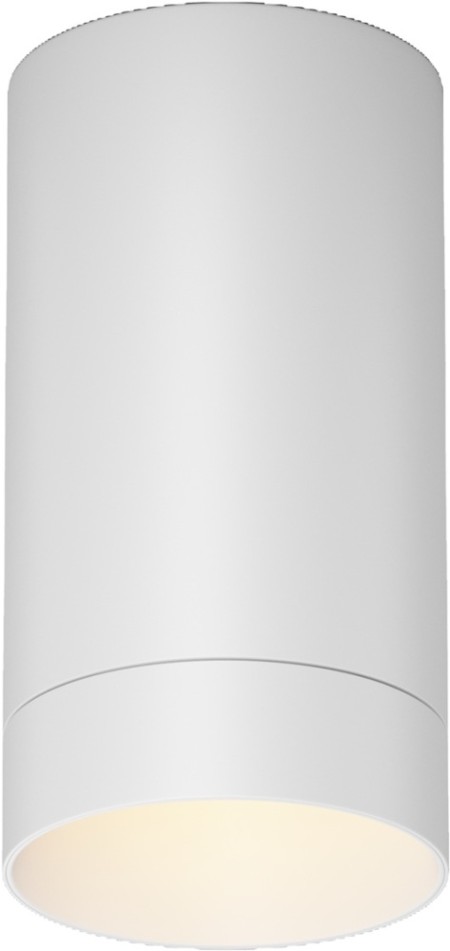 Потолочный светильник уличный Luxe O500CL-L5W3K