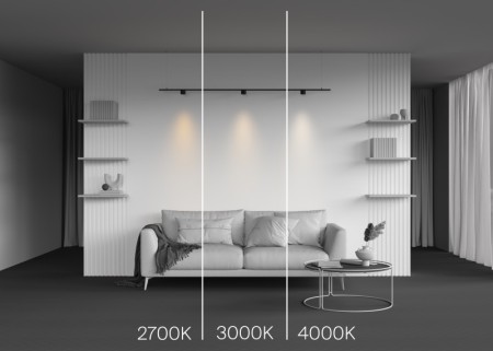 Светильник на шине Maytoni Technical TR188-1-5W3K-M-B