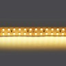 Светодиодная лента Lightstar 421503