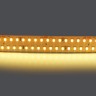 Светодиодная лента Lightstar 422003
