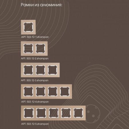 Розетка Arte Milano 203.40-1.shampan