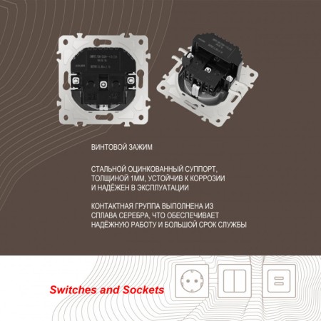 Розетка Arte Milano 206.47-1.silver