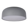 Потолочный детский светильник LOFT IT 10201/480 Grey