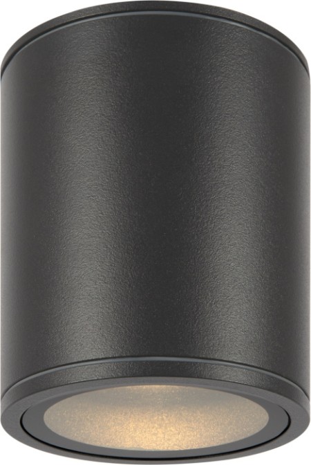 Потолочный светильник уличный Bar O306CL-L12GF