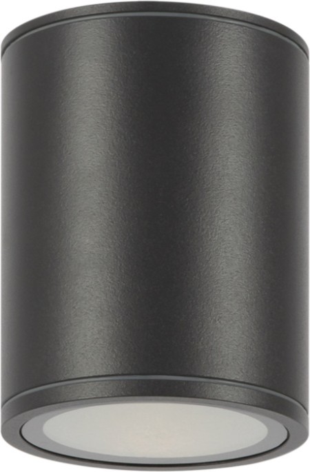 Потолочный светильник уличный Bar O306CL-L12GF