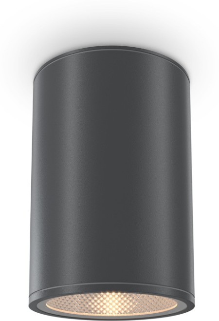 Потолочный светильник уличный Bar O306CL-L12GF