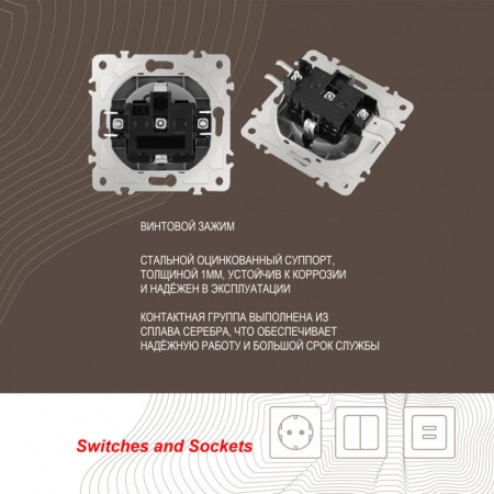 Розетка Arte Milano 206.41-1.silver