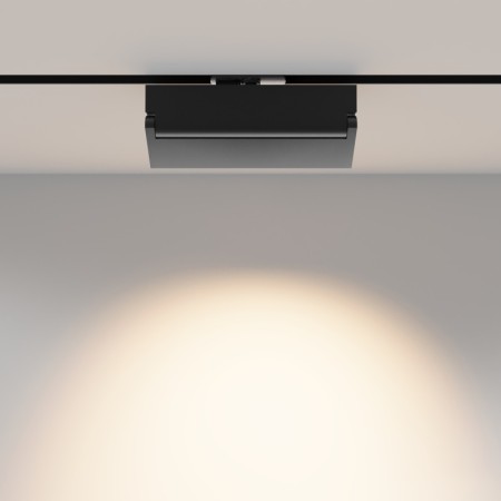 Светильник на шине Maytoni Technical TR223-1-12WCCT-W-B