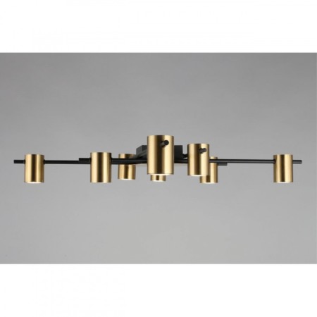 Накладная люстра APLOYT APL.633.07.08