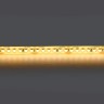 Светодиодная лента Lightstar 421053