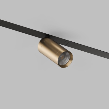 Светильник на шине Denkirs DK8010-BG