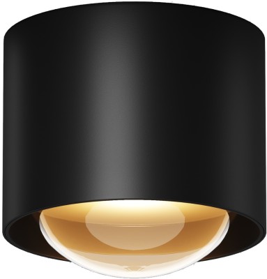 Потолочный светильник уличный Lumina O498CL-L15B3K