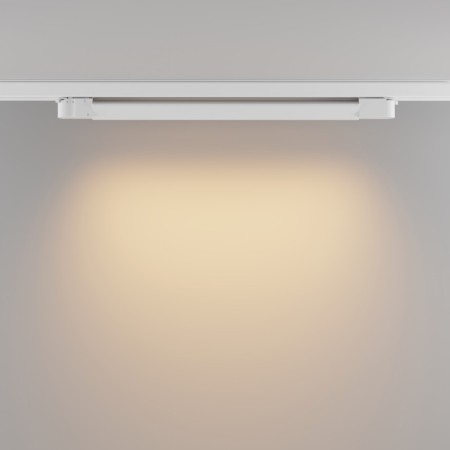 Светильник на шине Maytoni Technical TR196-3-20W2.7K-W