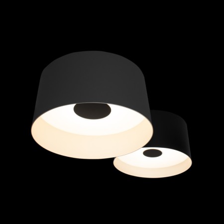 Накладной светильник LOFT IT 10360/2