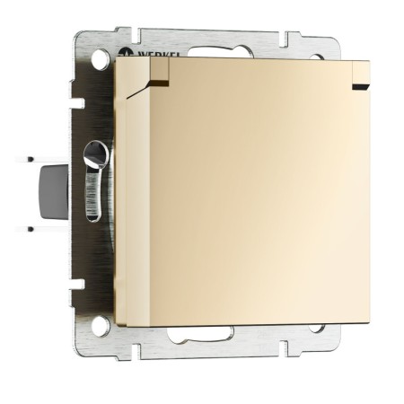 Розетка Werkel W1171211 N