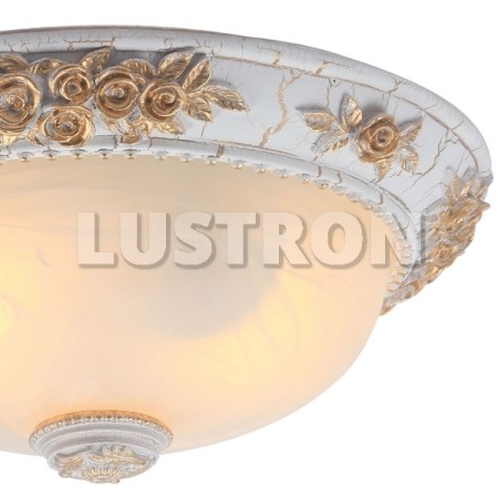 Потолочный светильник Torta A7101PL-2WG