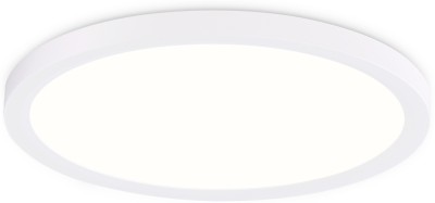 Потолочный светильник ORBITAL FZ1905