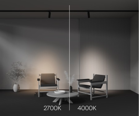 Светильник на шине Maytoni Technical TR198-3-20W2.7K-Z-B