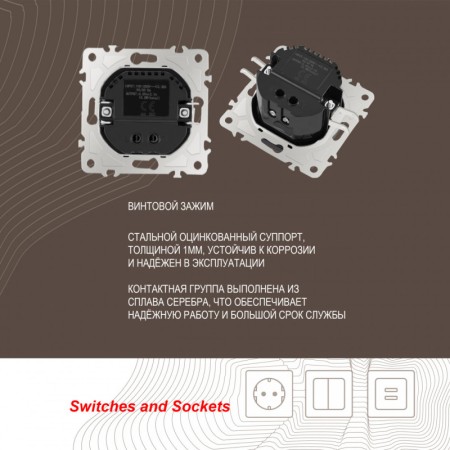 Розетка Arte Milano 206.46-1.shampan