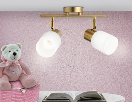 Спот TRADITIONAL TR3969