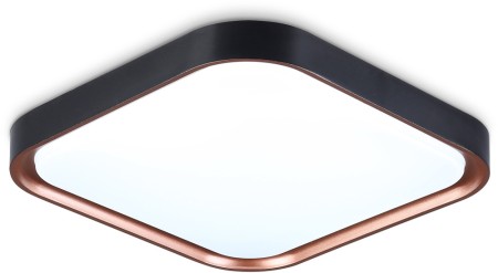 Потолочный светильник Orbital FZ1265