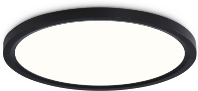 Потолочный светильник ORBITAL FZ1910