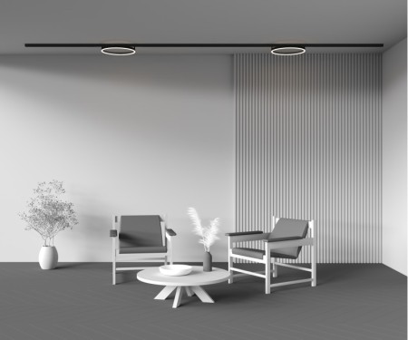 Светильник на шине Maytoni Technical TR227-2-24W3K-B