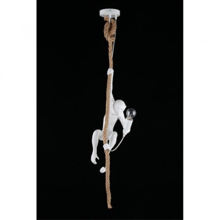 Потолочный детский светильник APLOYT APL.309.06.01