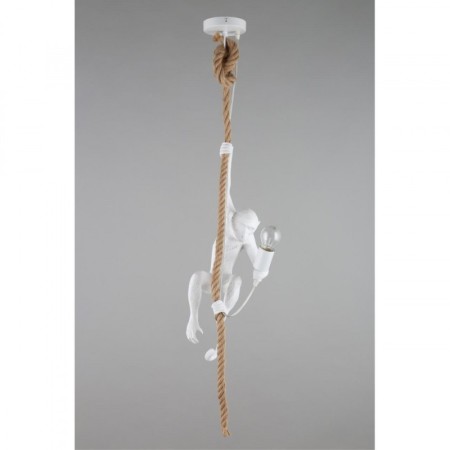 Потолочный детский светильник APLOYT APL.309.06.01