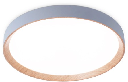 Потолочный светильник Orbital FZ1322