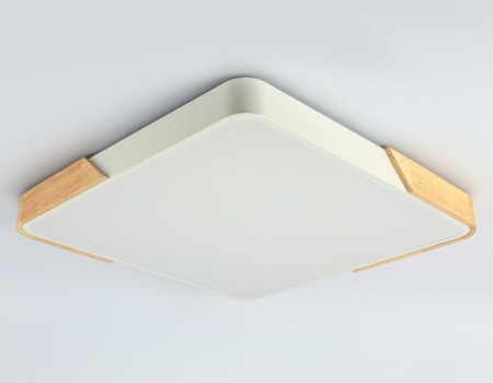 Потолочный светильник ORBITAL FZ1312