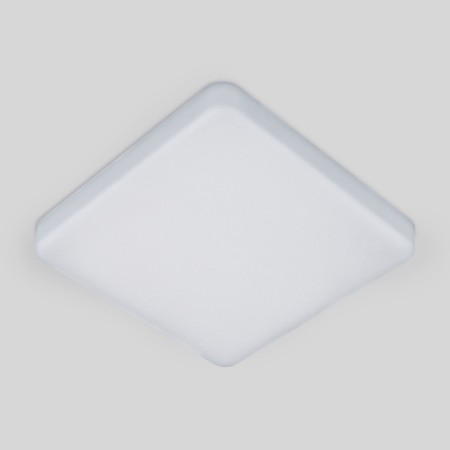 Накладной светильник Elektrostandard DLS043 10W 4200K