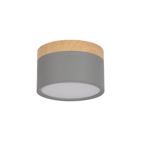 Детский точечный светильник LOFT IT 10162 Grey