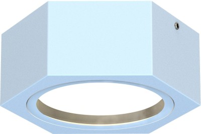 Потолочный светильник уличный Fantum 4665-1U