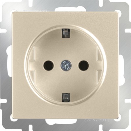 Розетка Встраиваемые механизмы шампань W1171111