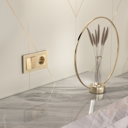 Розетка Встраиваемые механизмы шампань W1171111