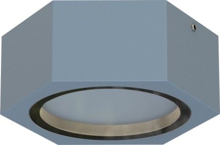 Потолочный светильник уличный Fantum 4666-1U